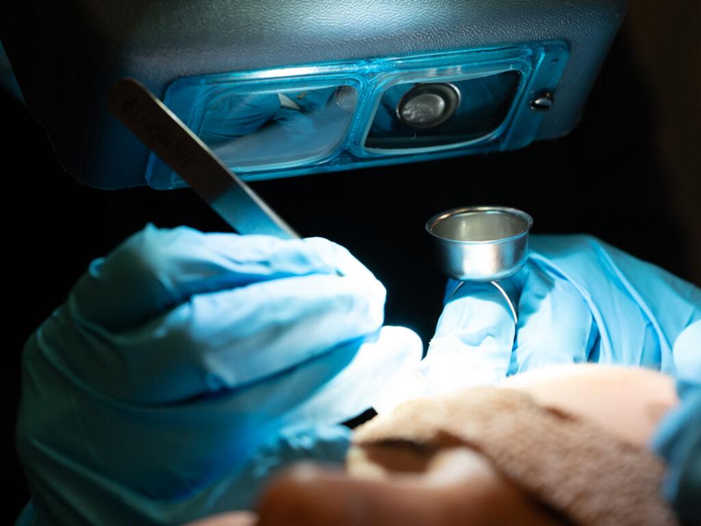 implantación robótica